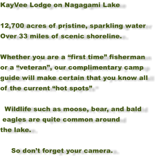Big game hunting packages — Kay Vee Lodge – Kay Vee Lodge